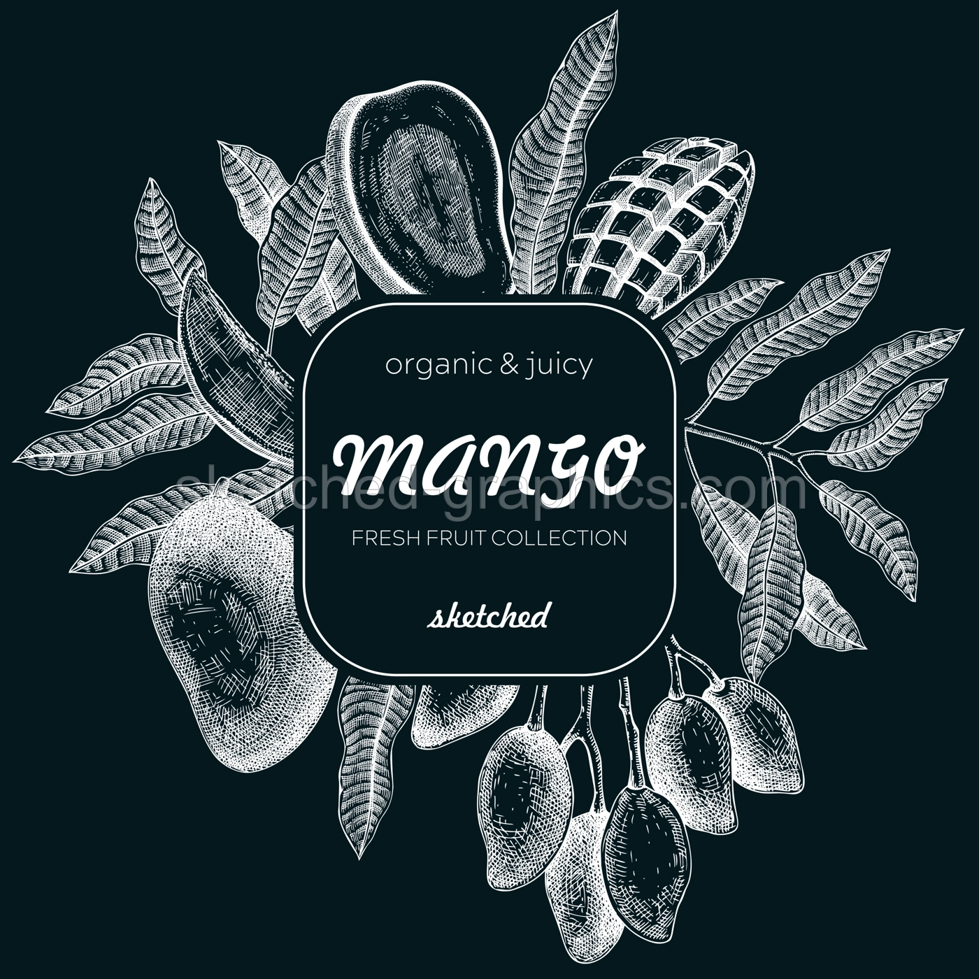 Summer background. Tropical fruit sketch on chalkboard. Mango hand-drawn vector illustration. Exotic plants frame. Juice packaging, invitation card template, print design. NOT AI generated Illustration